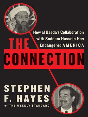 cover image of The Connection